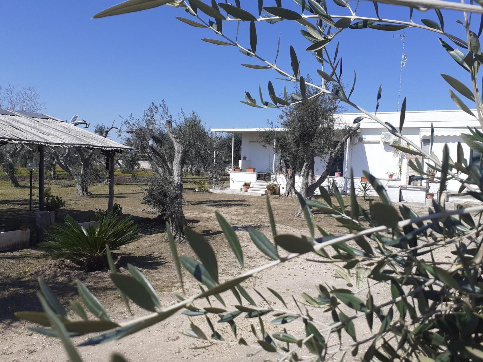Casa Vacanza Fiorella Torre dell'Orso Zimmer foto